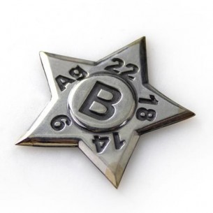 Estrella de toque de plata Technoflux 9 a 22 quilates y plata