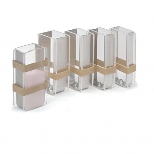 Molde de metacrilato para silicona líquida Castaldo 32 mm. 2