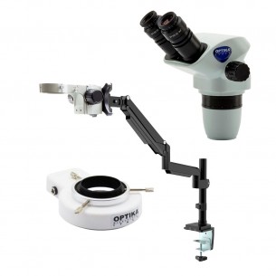 Optika Italy SZX microscope kit with arm and ring LED light